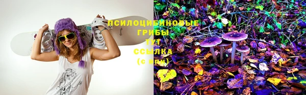 стафф Алексин