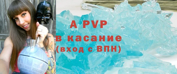 стафф Алексин