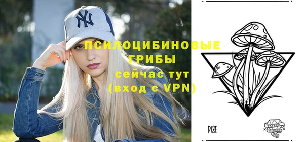 стафф Алексин