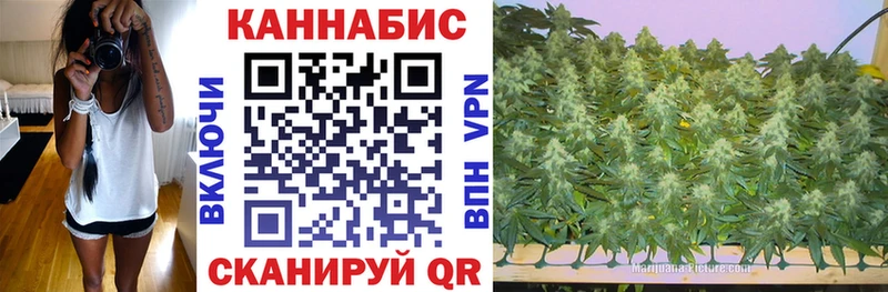 Бошки Шишки MAZAR  мега маркетплейс  Пущино 